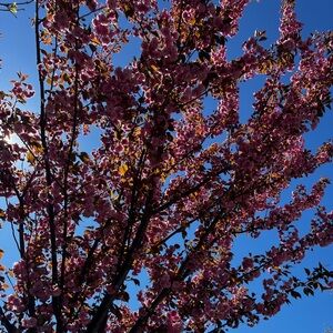 Meet your Posher, Margaret